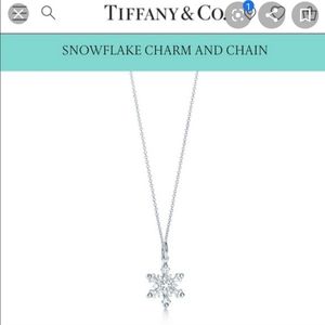 Tiffany & Co. Sterling Silver Snowflake Necklace